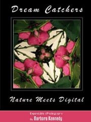 Cover von DREAM CATCHERS - Nature Meets Digital