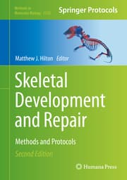 Cover von Skeletal Development and Repair