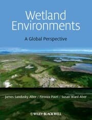 Cover von Wetland Environments