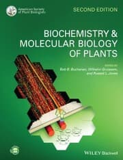Cover von Biochemistry and Molecular Biology of Plants