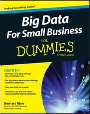Cover von Big Data For Small Business For Dummies
