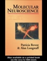 Cover von Molecular Neuroscience