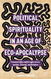 Cover von Political Spirituality in an Age of Eco-Apocalypse