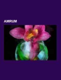 Cover von Amrum