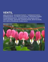 Cover von Ventil