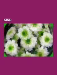 Cover von Kind
