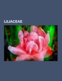 Cover von Liliaceae