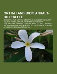 Cover von Ort im Landkreis Anhalt-Bitterfeld
