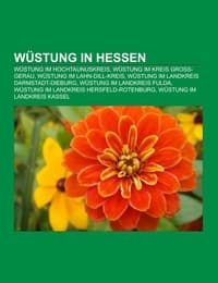 Cover von Wüstung in Hessen