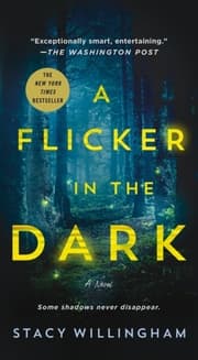 Cover von A Flicker in the Dark