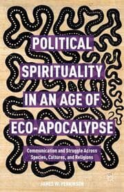 Cover von Political Spirituality in an Age of Eco-Apocalypse