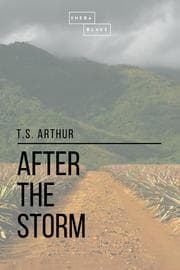 Cover von After the Storm