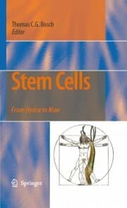 Cover von Stem Cells