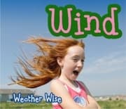 Cover von Wind