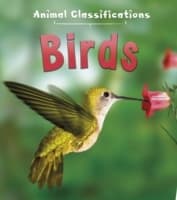 Cover von Birds