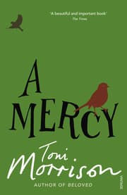 Cover von A Mercy
