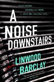 Cover von A Noise Downstairs