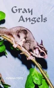 Cover von Gray Angels