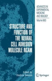 Cover von Structure and Function of the Neural Cell Adhesion Molecule NCAM