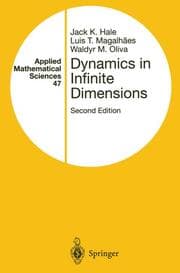 Cover von Dynamics in Infinite Dimensions