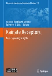 Cover von Kainate Receptors