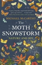 Cover von Moth Snowstorm