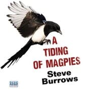 Cover von Tiding of Magpies, A