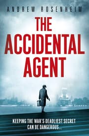 Cover von The Accidental Agent