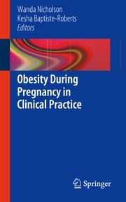 Cover von Obesity During Pregnancy in Clinical Practice