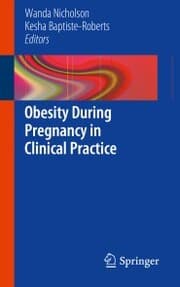 Cover von Obesity During Pregnancy in Clinical Practice