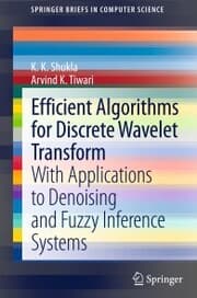 Cover von Efficient Algorithms for Discrete Wavelet Transform