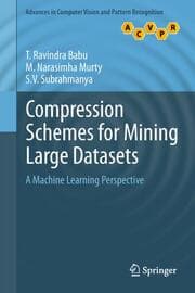 Cover von Compression Schemes for Mining Large Datasets