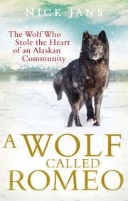 Cover von A Wolf Called Romeo