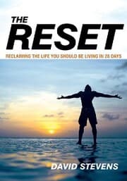 Cover von The Reset