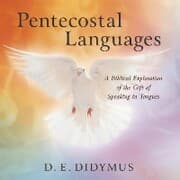 Cover von Pentecostal Languages