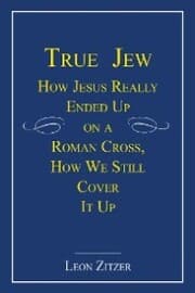 Cover von True Jew