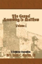 Cover von The Gospel According to Matthew Volume I