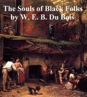 Cover von The Souls of Black Folk