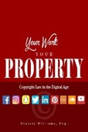 Cover von Your Work Your Property: Copyright Law In The Digital Age