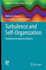 Cover von Turbulence and Self-Organization