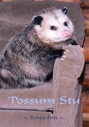 Cover von 'Possum Stu