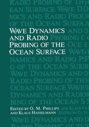 Cover von Wave Dynamics and Radio Probing of the Ocean Surface