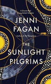 Cover von The Sunlight Pilgrims