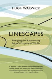 Cover von Linescapes