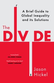 Cover von The Divide