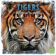 Cover von Tigers