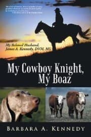 Cover von My Cowboy Knight, My Boaz