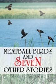 Cover von Meatball Birds and Seven Other Stories