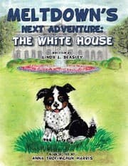 Cover von Meltdown's Next Adventure: the White House