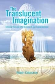 Cover von The Translucent Imagination